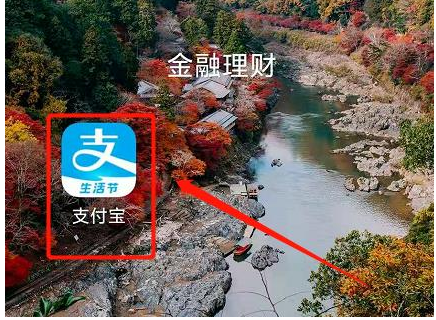 1584435012666034.png 支付宝医疗保险有用吗