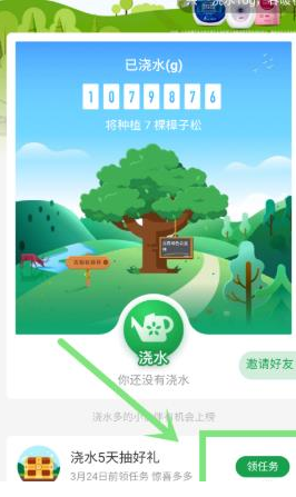 1584520296390056.png 支付宝立白绿色公益林抽奖活动怎么参加