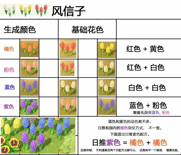 集合啦动物森友会杂交花怎么搭配