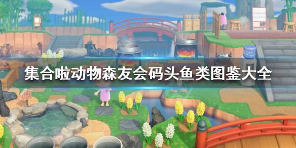 集合啦动物森友会码头鱼类都有什么