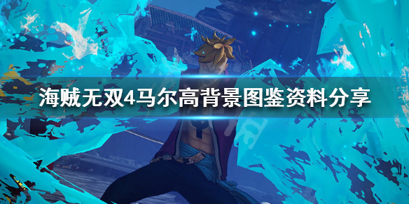 《海贼无双4》马尔高怎么样