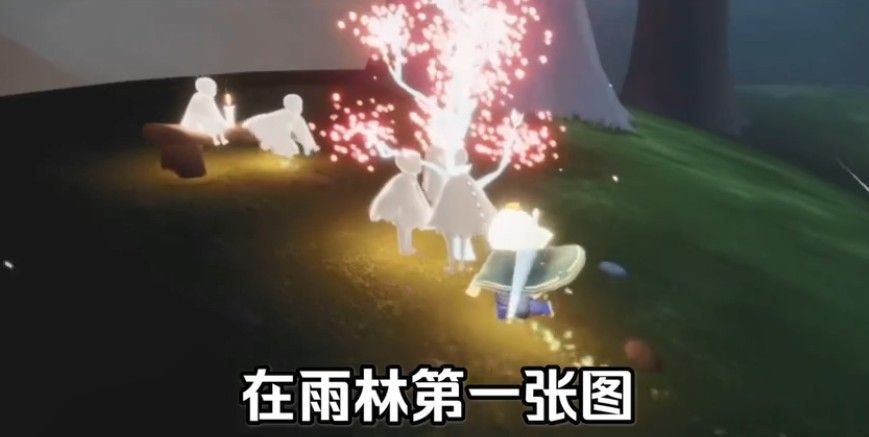 光遇雨林赏花在哪