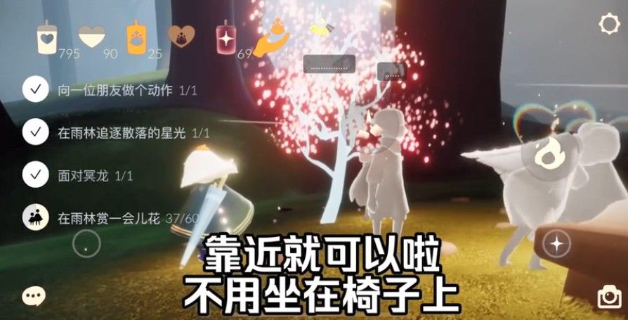 光遇雨林赏花在哪