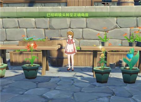 原神芙萝拉留影任务怎么做