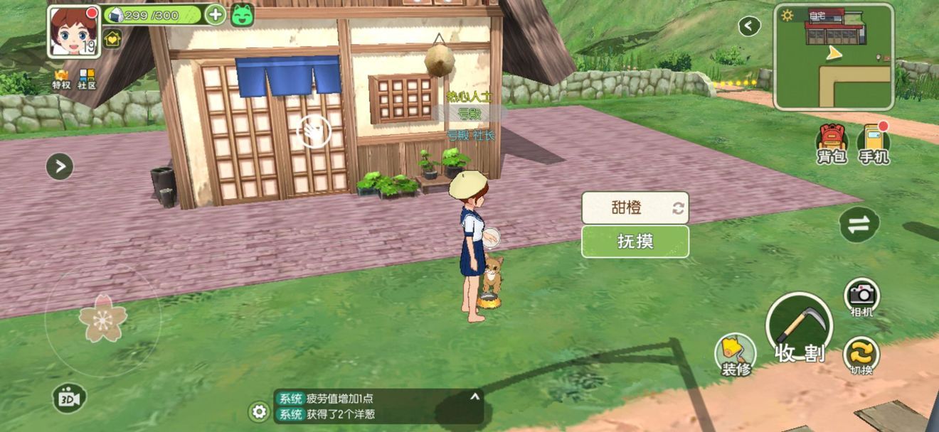 小森生活怎么领养猫咪