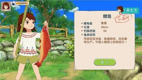 小森生活怎么钓鱼