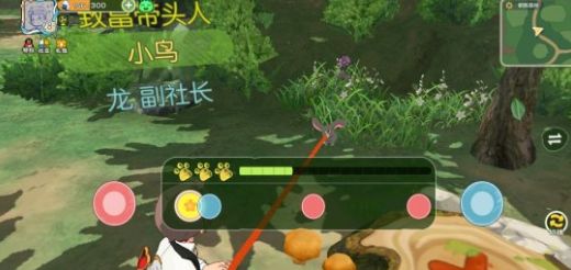 小森生活怎么捕捉动物