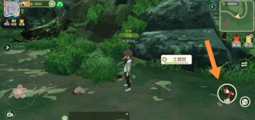 小森生活土拨鼠怎么不出洞