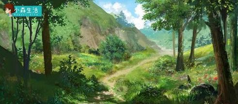 小森生活止风草在哪里