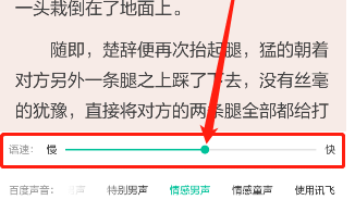 1617599281955630.png 当当云阅读听书速度怎么设置