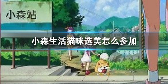 小森生活猫咪选美怎么参加