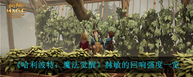 《哈利波特:魔法觉醒》赫敏的回响强度一览