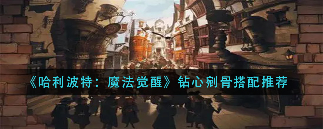 《哈利波特:魔法觉醒》钻心剜骨搭配推荐
