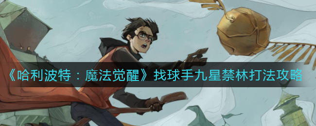 《哈利波特:魔法觉醒》找球手九星禁林打法攻略