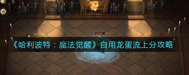 《哈利波特:魔法觉醒》自用龙蛋流上分攻略