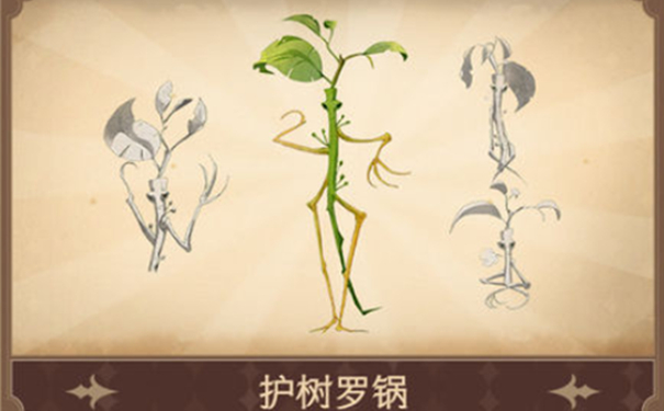 《哈利波特:魔法觉醒》护树罗锅作用介绍