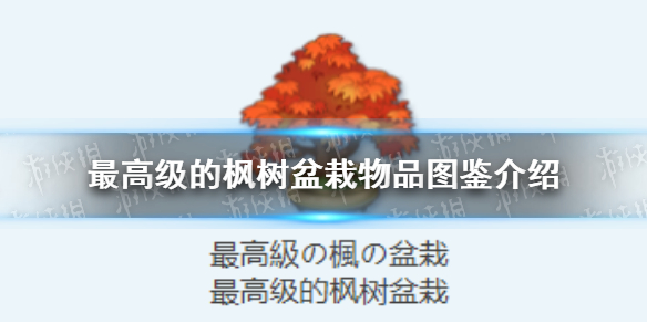 《蔚蓝档案》最高级的枫树盆栽物品图鉴怎么样