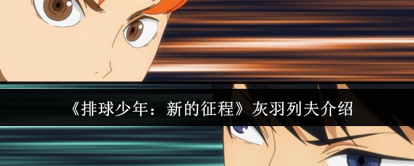 《排球少年:新的征程》灰羽列夫介绍