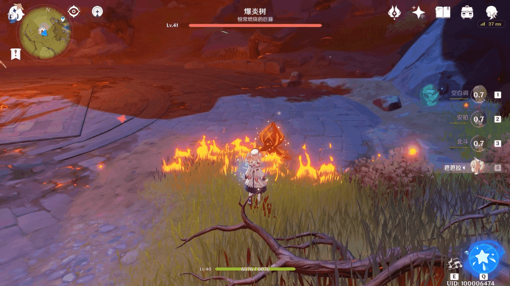 原神爆炎树在哪