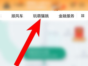 1603089890688584.png 滴滴出行最后一只猫怎么得