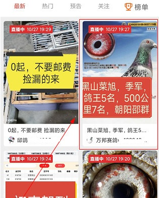 1604038268484056.png 赛鸽头条直播怎么看