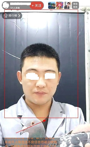 1604038263993508.png 赛鸽头条直播怎么看