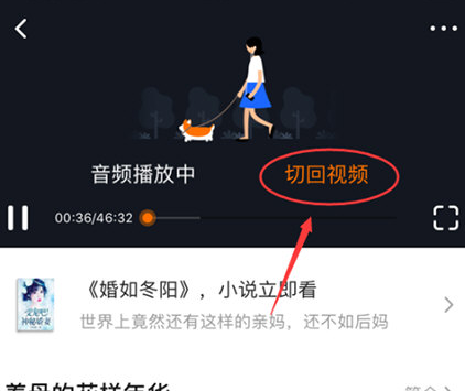1604038861913029.png 腾讯视频音频播放怎么设置