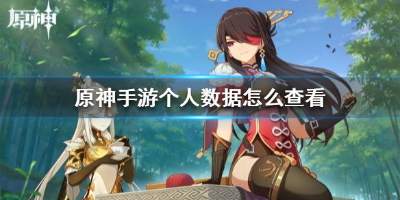 《原神手游》个人数据怎么查看