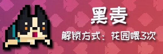 元气骑士柯基黑麦获得方式是什么