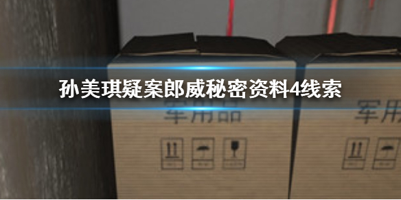 孙美琪疑案郎威秘密资料4线索在哪