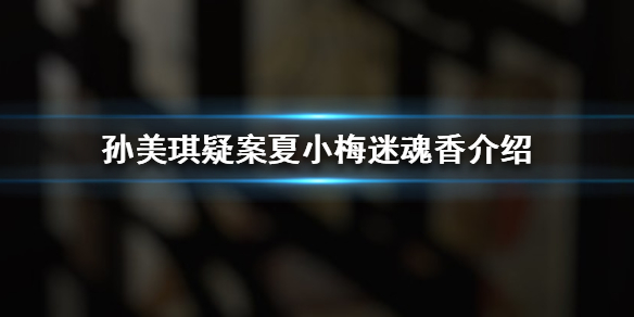 《孙美琪疑案夏小梅》迷魂香线索在哪
