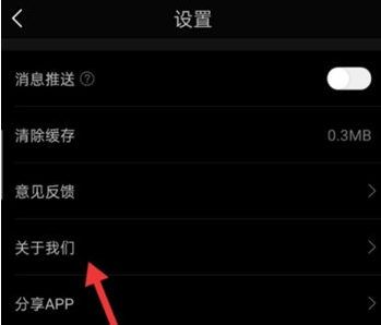 1607321714138880.png 网易严选版本怎么检查