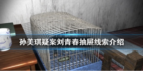 《孙美琪疑案刘青春》抽屉线索在哪