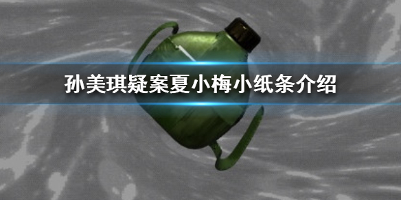 《孙美琪疑案夏小梅》小纸条在哪