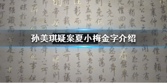 《孙美琪疑案夏小梅》金字线索在哪