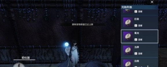 1607407453992519.png 《妄想山海》宠物数量上限怎么办