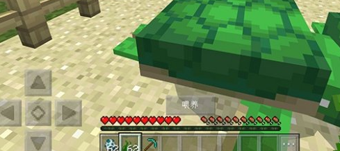 1607911437205343.png 《我的世界手游》海龟蛋怎么孵化