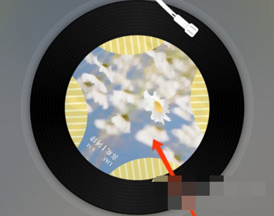 1608007185169136.png 网易云音乐APP歌词怎么复制