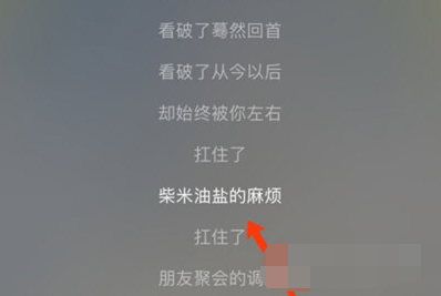 1608007178301864.png 网易云音乐APP歌词怎么复制