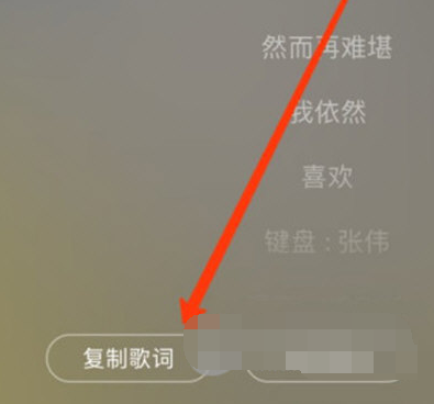 1608007171901864.png 网易云音乐APP歌词怎么复制