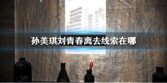 《孙美琪疑案刘青春》离去线索在哪