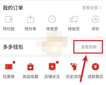 1608187712733201.png 拼多多app多多钱包余额怎么提现