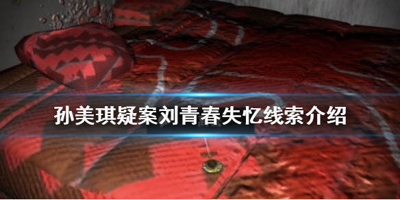 孙美琪疑案刘青春失忆线索在哪