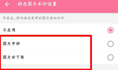 1608609594574502.png 哔哩哔哩动图水印怎么设置