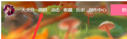 1608616241639130.png 哔哩哔哩应援团怎么退出