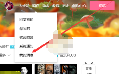 1608616232136068.png 哔哩哔哩应援团怎么退出