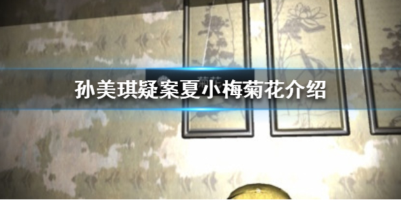 《孙美琪疑案夏小梅》线索菊花在哪