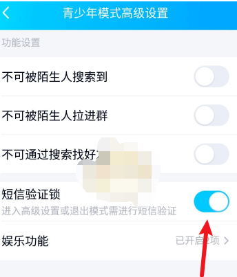 1608864041977083.png QQ青少年模式短信验证锁怎么设置