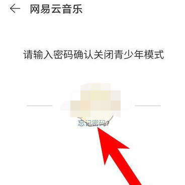 1609133283771160.png 网易云音乐青少年模式密码怎么找回