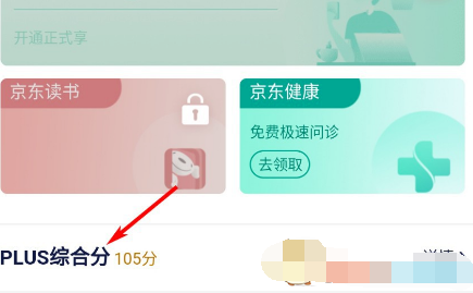 1609913208957652.png 京东我的PLUS综合评分怎么查看